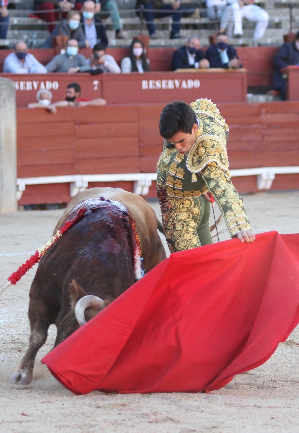 Tomás Rufo, al natural, en una actuación reciente en la plaza de toros de Toledo