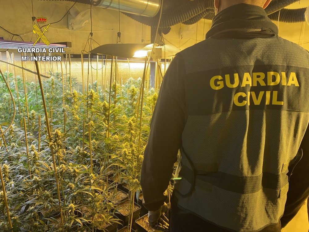 La Guardia Civil desmanteló dos puntos de cultivo de marihuana interior en Olías del Rey y Mocejón.