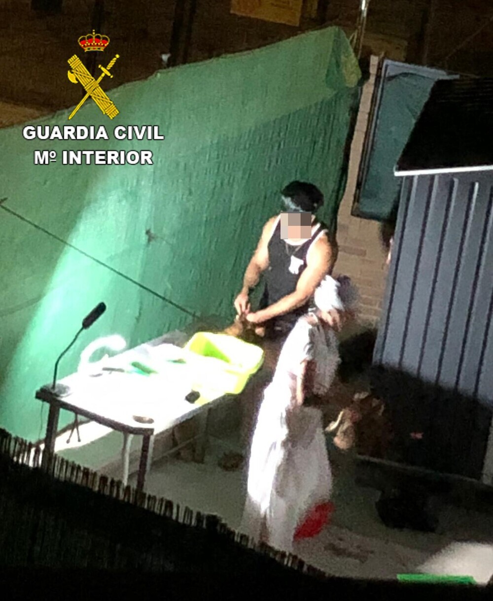 Un santero decapitaba cabras y gallos en Yuncos