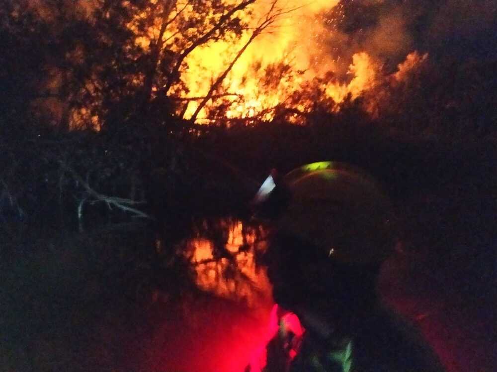 Dos dotaciones de los bomberos de Toledo tratan de controlar las llamas.