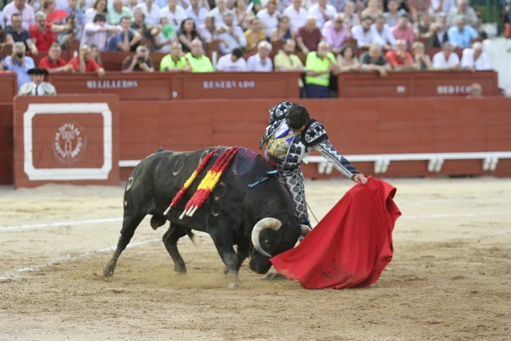 El buen toro de Alcurrucén propició el toreo de clase de Morante. 