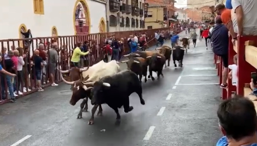 Los toros de Montealto corrieron las calles de Bargas.