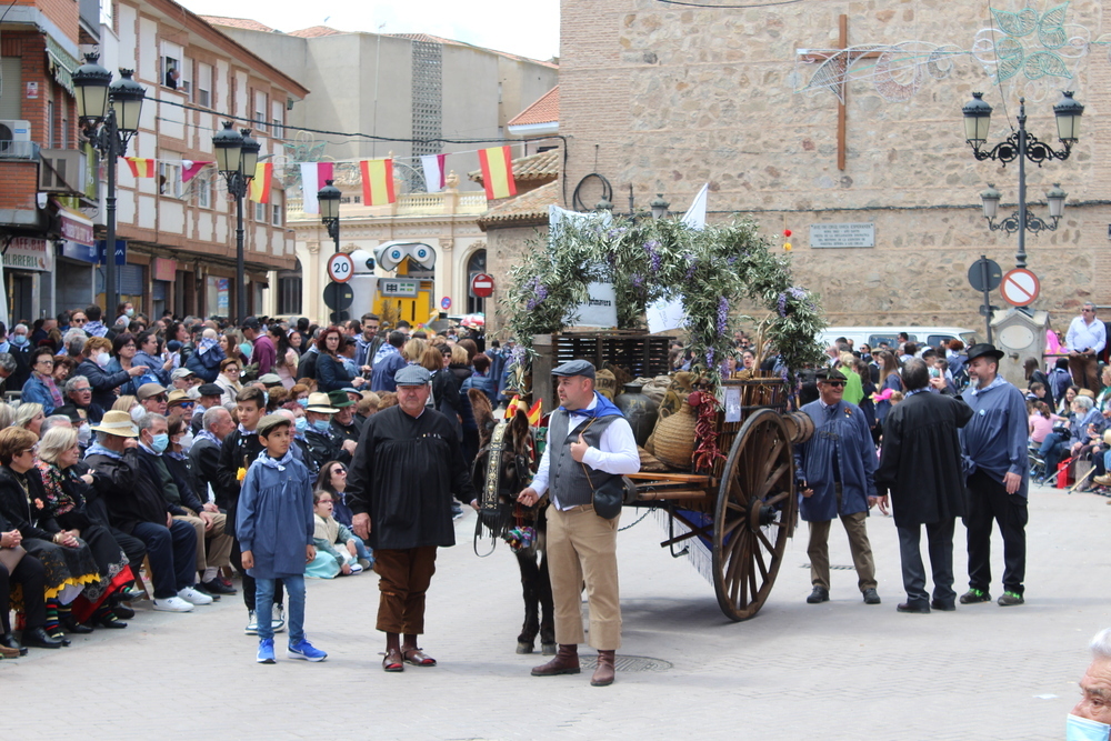 La LXIV edicón de la Fiesta del Olivo vivió su momento más destacado con el tradicional desfile-concurso de carrozas y carros engalanados por las calles de la localidad.