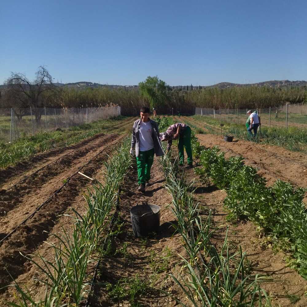 Alumnos del curso de Agricultura Ecológica de Cáritas Toledo.