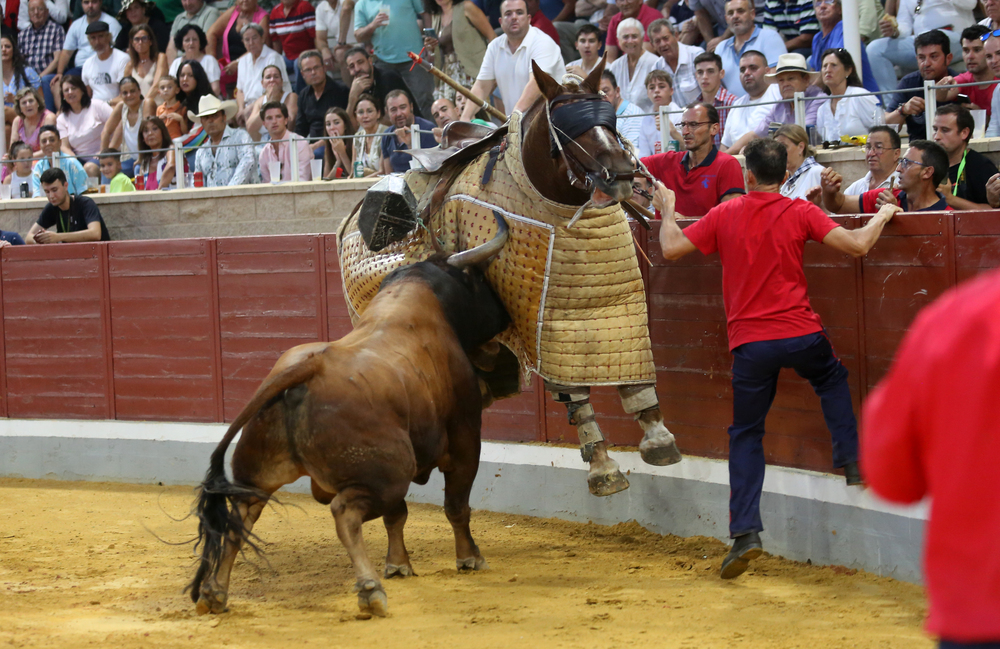 Juan Cedillo aguantó a cuerpo limpio intentando salvar su caballo.