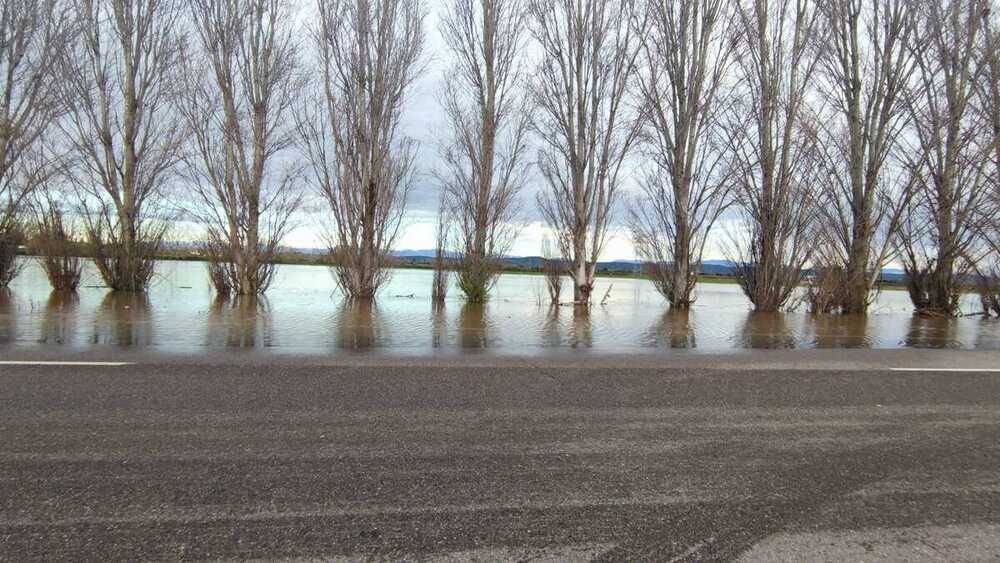 El desbordamiento de 3 arroyos inunda fincas en N-502 y CM4101