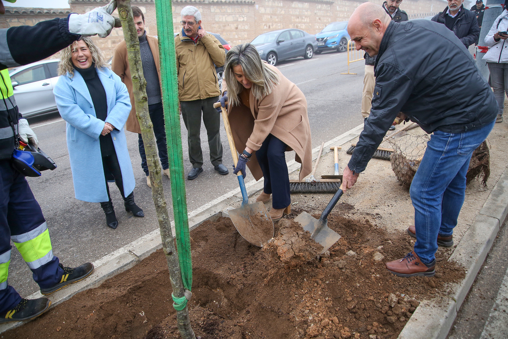 El Ayuntamiento planta 50 árboles en la avenida de Francia