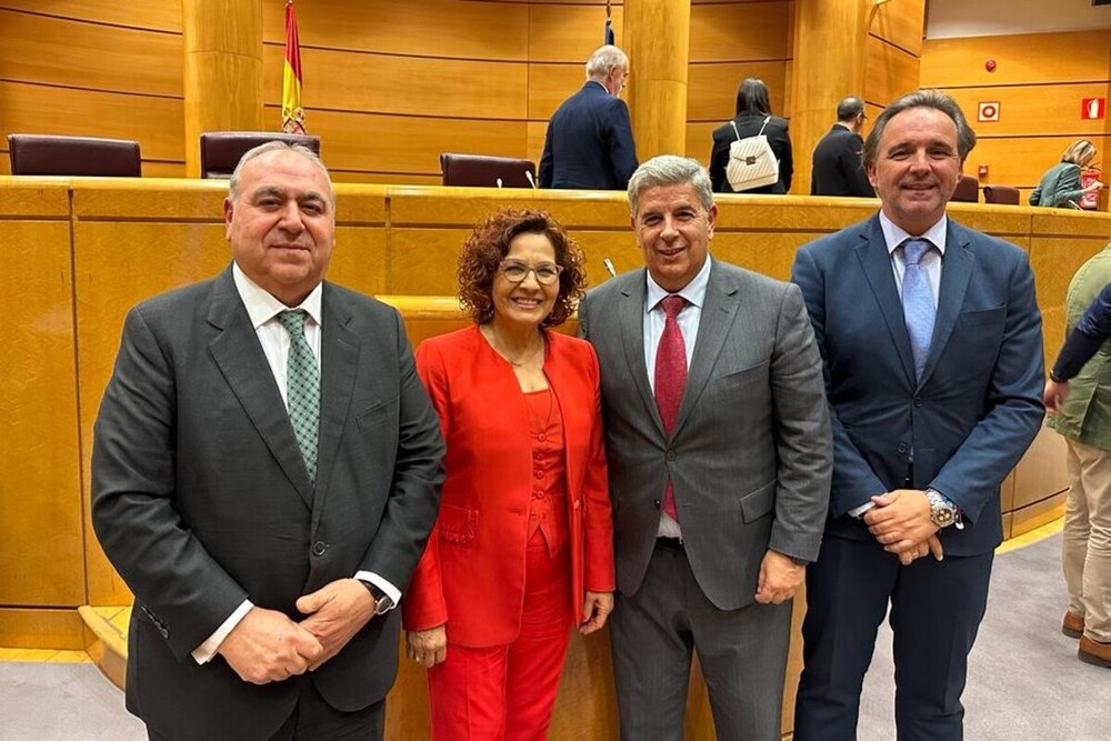 Vicente Tirado, Carmen Riolobos, Miguel Ángel de la Rosa e Israel Pérez, senadores del PP por Toledo.