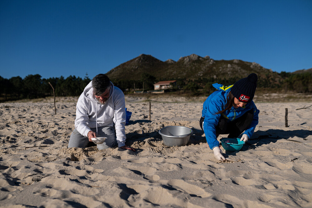 Voluntarios hacen una recogida de pellets de la arena