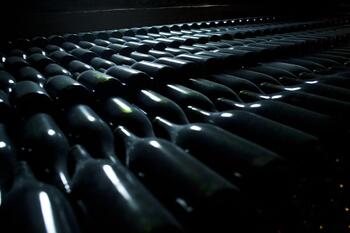 Planas destaca la «formidable» labor del sector del vino
