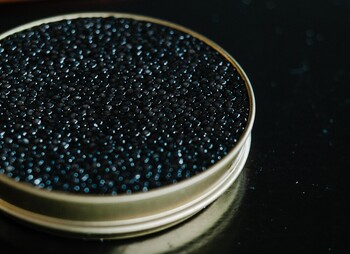 El futuro del caviar negro