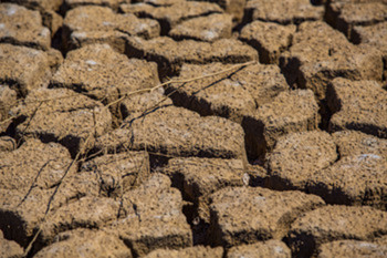 La sequía se intensifica en Toledo en el inicio del otoño