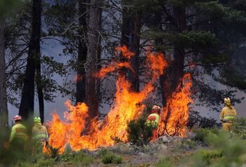 Logran estabilizar el fuego de la Sierra de la Culebra