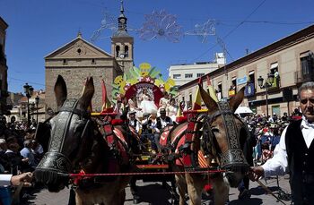 Vuelve la Fiesta del Olivo, «desde Mora para todo el mundo»