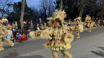 ‘Los espantapájaros’, primer premio del carnaval de Toledo