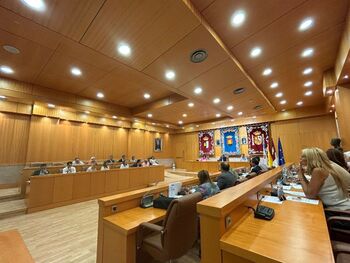 PP y PSOE de Talavera aprueban juntos la moción por el 25N