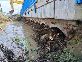 Numancia asume limpieza de arroyos por la «dejadez» de la CHT