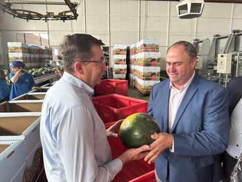 La producción de sandia y melón será «de primerísima calidad»