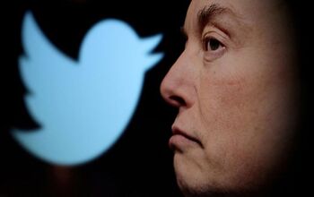 Musk pretende subastar nombres de usuario para reflotar Twitter