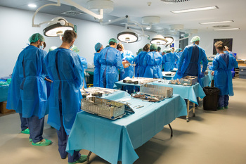 Toledo acoge un curso sobre cirugía protésica de hombro