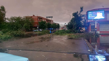 Un pequeño tornado daña viviendas y arbolado en Sonseca
