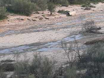 La fuga en una arqueta del arroyo Salchicha, aún sin reparar