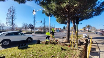 Comienzan a instalar los nuevos semáforos de avenida de Madrid