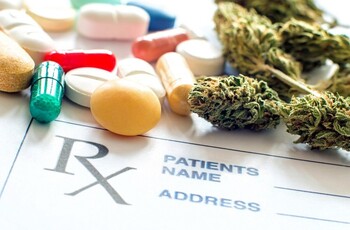 Sanidad estudia aprobar la regulación del cannabis medicinal