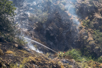 Intervención urgente en materia de incendios por los pastos