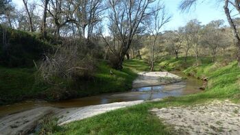 Ecologistas pide restauración y no limpieza para los arroyos