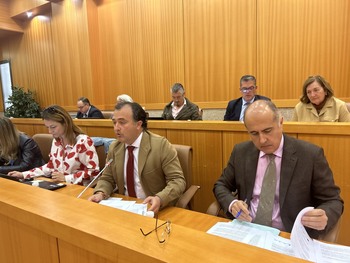 El Pleno aprueba defender el soterramiento del AVE en Talavera